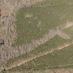 Investment land for sale in Union Parish