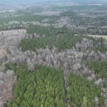 Lincoln Parish Recreational land for sale