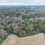 Timberland property for sale in Lincoln Parish
