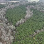 Timberland for sale in Lincoln Parish