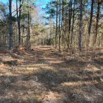 Lincoln Parish Development land for sale