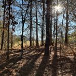 Development property for sale in Lincoln Parish