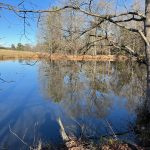 Lincoln Parish Investment land for sale