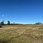 Development land for sale in Lincoln Parish