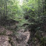 Investment land for sale in Columbia County