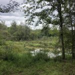 Columbia County Recreational property for sale