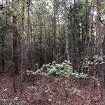 Columbia County Recreational property for sale