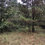 Columbia County Investment land for sale