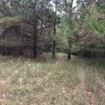 Recreational property for sale in Columbia County
