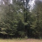Recreational land for sale in Columbia County