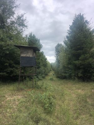 Columbia County Investment property for sale