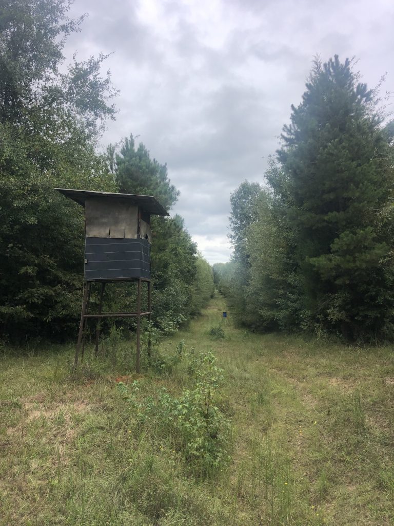 Columbia County Investment property for sale