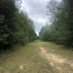 Columbia County Investment land for sale