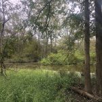 Columbia County Investment property for sale