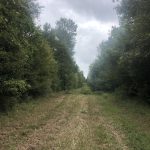 Investment land for sale in Columbia County