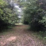 Recreational land for sale in Columbia County