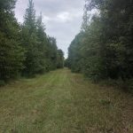 Recreational land for sale in Columbia County
