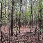 Columbia County Investment land for sale