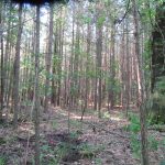 Lafayette County Recreational property for sale