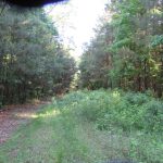 Lafayette County Recreational property for sale