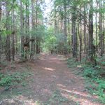 Recreational land for sale in Lafayette County