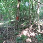 Recreational land for sale in Lafayette County