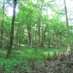 Lafayette County Recreational land for sale