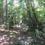 Lafayette County Investment property for sale