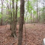 Recreational land for sale in Nevada County