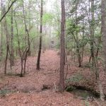 Nevada County Timberland for sale