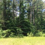 Recreational property for sale in Natchitoches Parish
