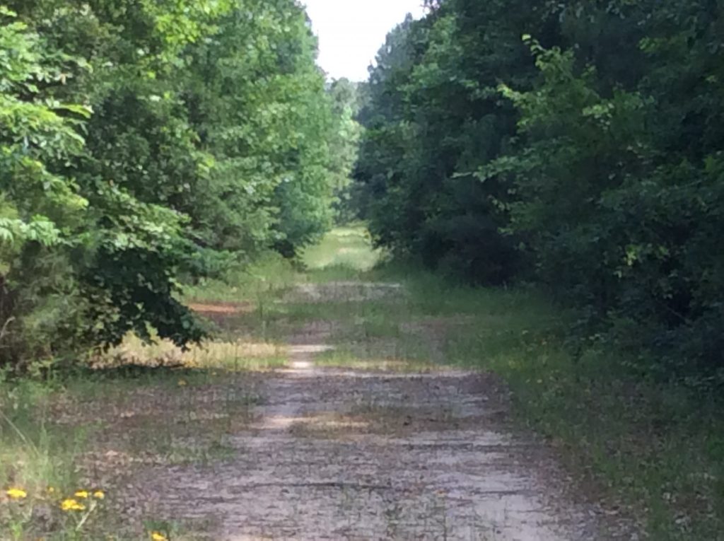 Investment property for sale in Natchitoches Parish