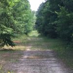 Investment property for sale in Natchitoches Parish