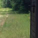 Natchitoches Parish Timberland property for sale