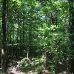 Investment property for sale in Natchitoches Parish