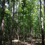 Recreational land for sale in Natchitoches Parish