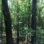 Natchitoches Parish Investment property for sale