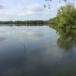 Investment property for sale in Natchitoches Parish