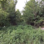 Recreational land for sale in Natchitoches Parish