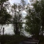 Natchitoches Parish Investment land for sale