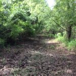 Natchitoches Parish Investment land for sale