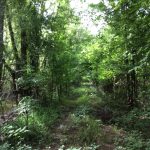 Recreational property for sale in Natchitoches Parish