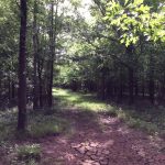 Investment land for sale in Natchitoches Parish