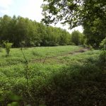 Recreational land for sale in Natchitoches Parish