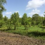 Natchitoches Parish Recreational property for sale