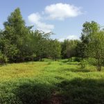 Natchitoches Parish Recreational land for sale