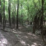 Recreational land for sale in Natchitoches Parish