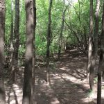 Recreational property for sale in Natchitoches Parish