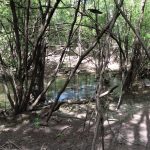 Recreational property for sale in Natchitoches Parish