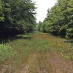 Investment property for sale in Natchitoches Parish